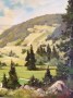 Das Wiesentali in Schwarzwald