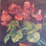 Tiesto de barro rojo con Flores
