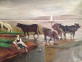 Vacas en la orilla y aguas del Lago